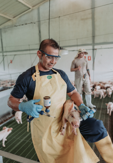 Diseno sin titulo 29